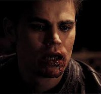 /album/stefan/imagescag2q5zs-jpg/